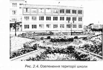 озеленення території школи