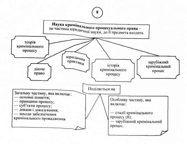 наука кримінального процесуального права
