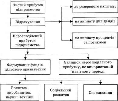 формування і використання нерозподіленого прибутку підприємства