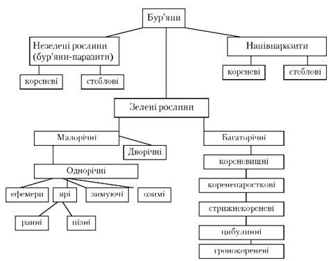 класифікація бур'янів