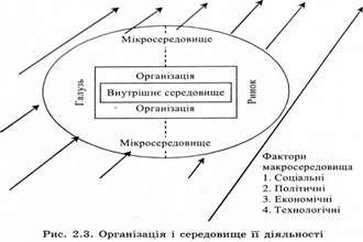 організація і середовище її діяльності 