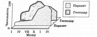 динаміка чисельності популяцій при взаємовідносинах 