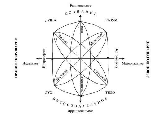 взаимоотношение сознания и бессознательного, функций левого и правого полушарий головного мозга, а также основных психических процессов и свойств: 1, 2, 3 - сфера соответственно эмоциональная, волевая и познавательная