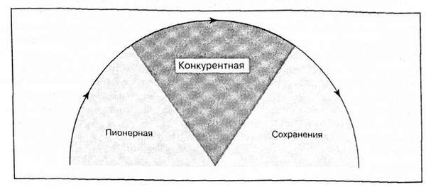 основные стадии модели жизненного цикла