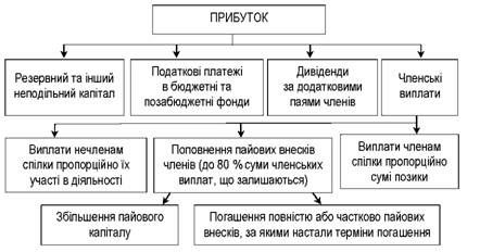 схема розподілу прибутку кредитної спілки