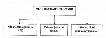структура місцевих фінансових органів