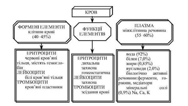 склад та функції елементів крові