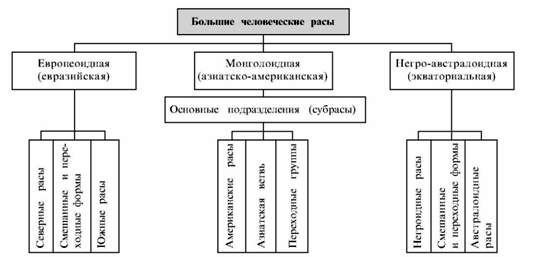 морфологическая классификация человеческих рас