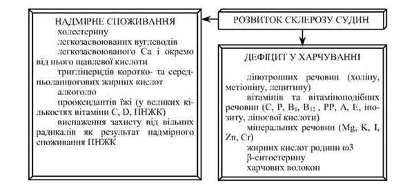 причини виникнення склерозу судин