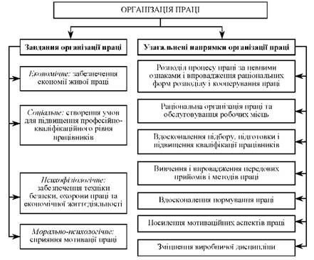 основні завдання та напрямки організації праці на підприємстві