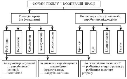 класифікація показників, що визначають характер поділу і кооперації праці