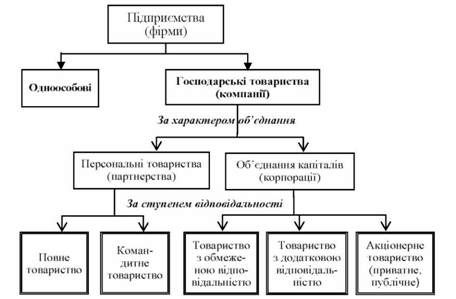 класифікація підприємств за організаційно-правовою формою господарювання