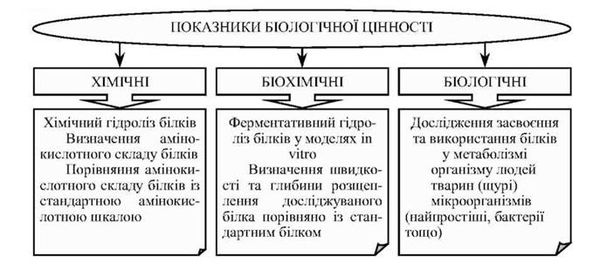 методи оцінювання біологічної цінності білків
