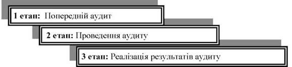 етапи виконання аудиту ефективності виконання місцевого бюджету