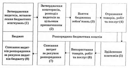 взаємозв'язок видатків бюджетів з витратами розпорядників бюджетних коштів зобов'язань та здійснення видатків бюджету