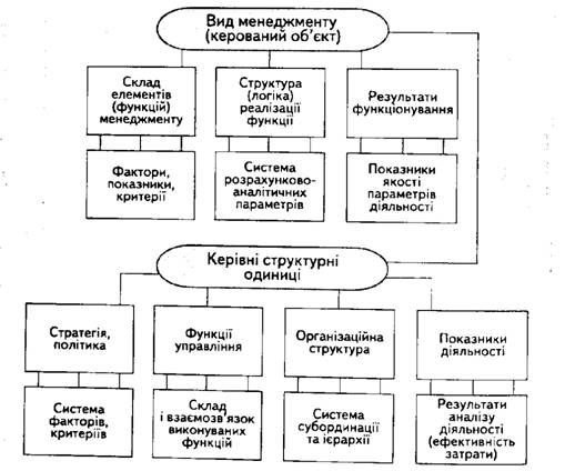 загальна структура окремого виду функціонального менеджменту