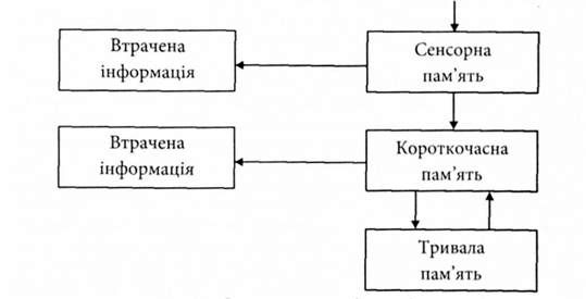 схема часових видів пам'яті