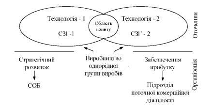 стратегічні зони господарювання та стратегічні одиниці бізнесу