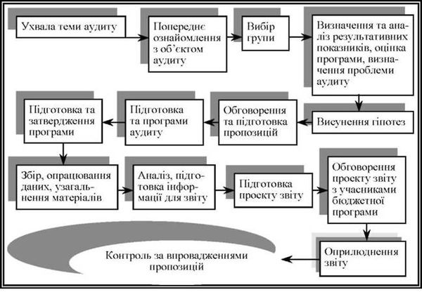 схема організації та проведення аудиту ефективності