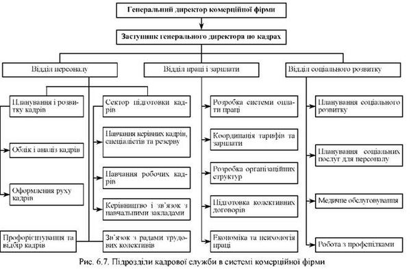 підрозділи кадрової служби в системі комерційної фірми 