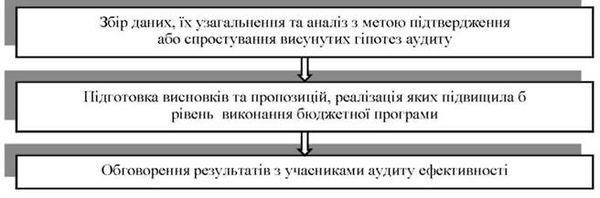 ланцюг опрацювання даних у процесі проведення аудиту ефективності виконання бюджетних програм