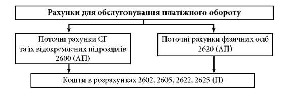 структура рахунків для обслуговування платіжного обороту