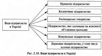 види підприємств в україні 