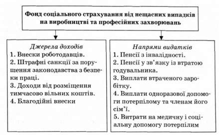 схема функціонування фонду соціального страхування від нещасних випадків на виробництві та професійних захворювань