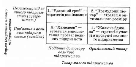 основні види стратегій малого підприємства