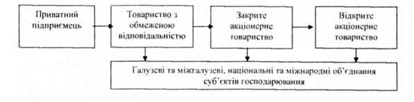 послідовність зміни організаційно-правових форм ведення бізнесу