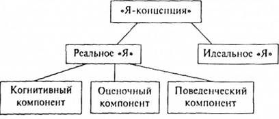 структура 