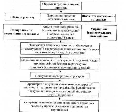 послідовно здійснювані заходи процесу забезпечення інтелектуальної і кадрової складової економічної безпеки 