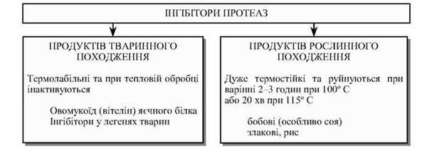 інгібітори протеаз