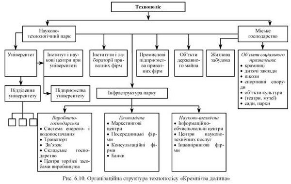 організаційна структура технополісу 
