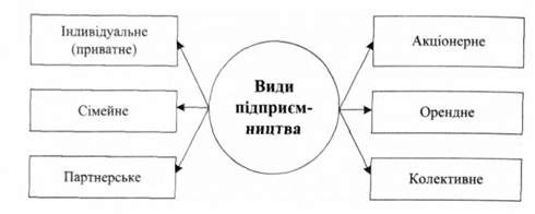 виді підприємницької діяльності залежно від форми власності та організації