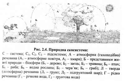 природна екосистема