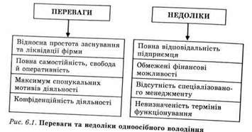 переваги та недоліки одноосібного володіння