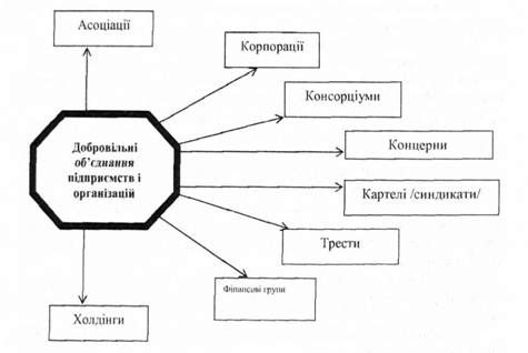 форми добровільних об'єднань підприємств (фірм, кампаній) і організацій