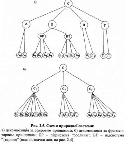 схеми природной екосистеми