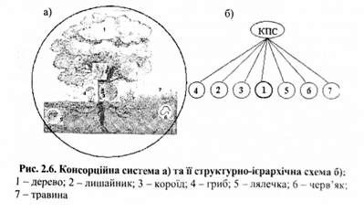 консорційна система