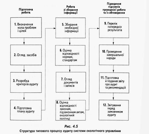 структура типового процесу аудиту системи екологічного управління 
