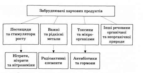 основні забруднювачі харчових продуктів