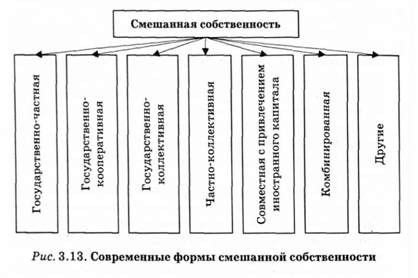 современные формы смешанной собственности 