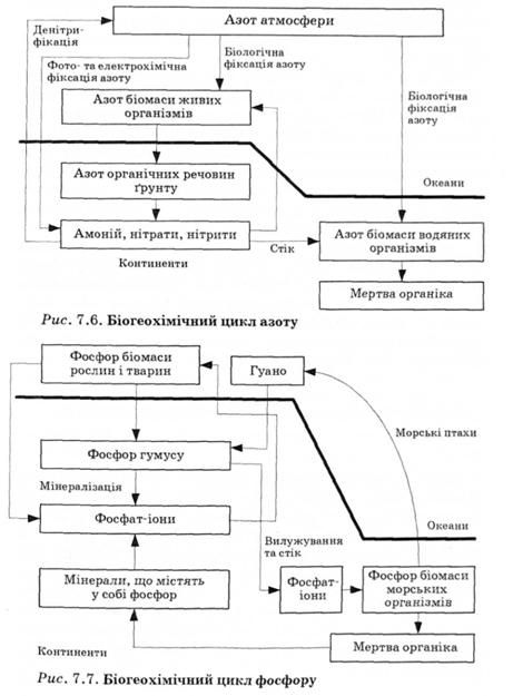 біогеохімічний цикл фосфору 