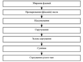 узагальнена схема виробництва зеленого байхового чаю