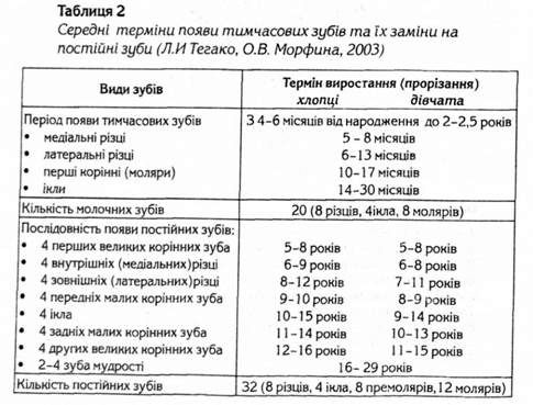 середні терміни появи тимчасових зубів та їх заміни на постійні зуби 