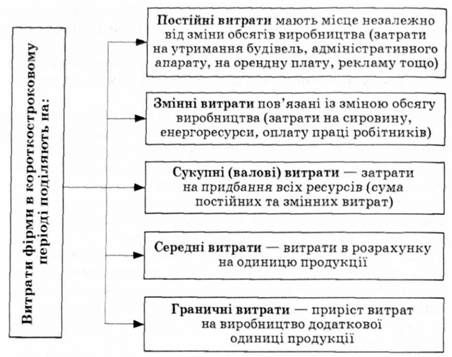 структура витрат фірми в короткостроковому періоді
