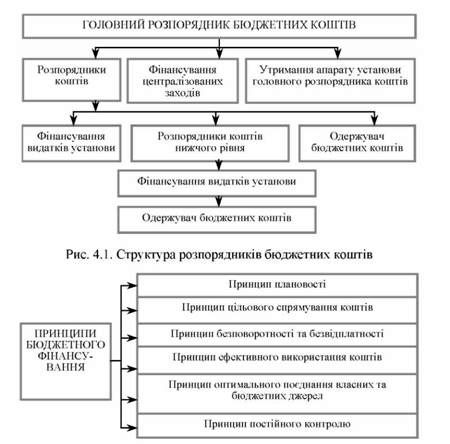 структура розпорядників бюджетних коштів
принципи бюджетного фінансування