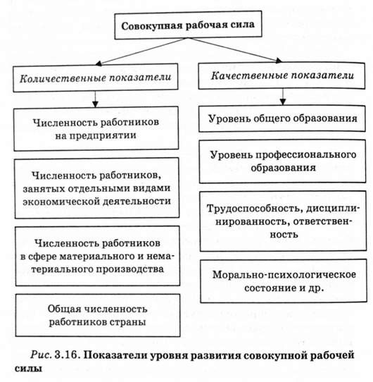 показатели уровня развития совокупной рабочей силы 