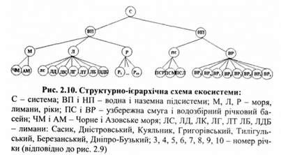 структруно-ієрархічна схема екосистеми